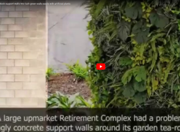 How to turn ugly block support walls into lush green-walls