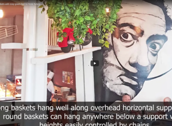 Huge Hanging-Baskets add cosy green feel to Hotel Eatery...