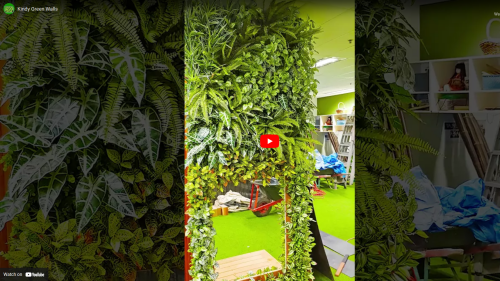 Kindy Green Walls