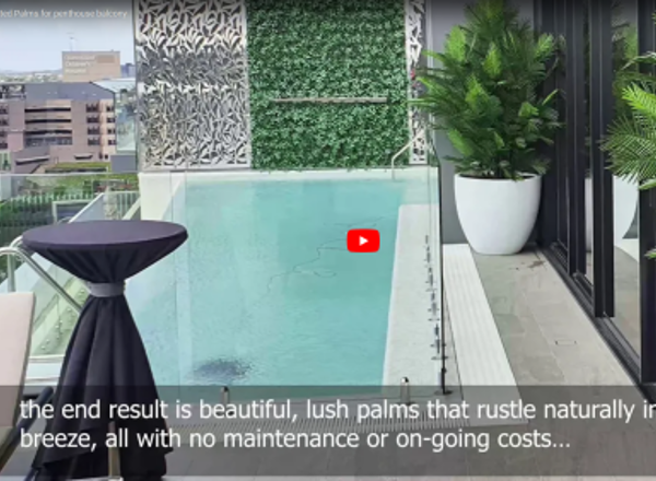 Large, lush UV-treated Palms for penthouse balcony
