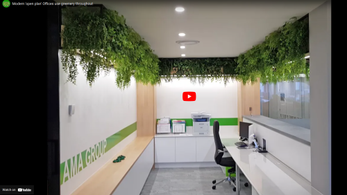 Modern 'open-plan' Offices use greenery throughout