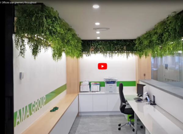 Modern 'open-plan' Offices use greenery throughout