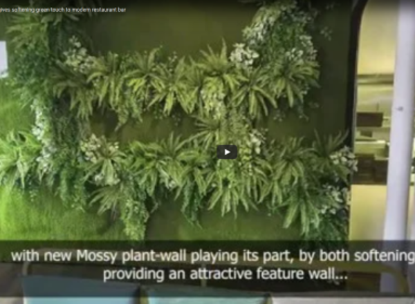 Mossy plant-wall gives softening 'green-touch' to modern restaurant/bar