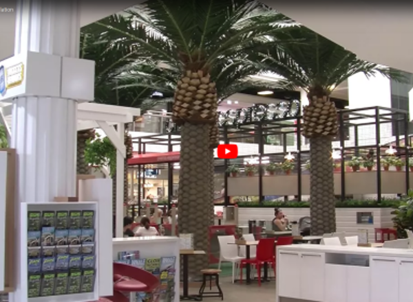 New Cafe in a Mall wanted a Total Green Fit-out