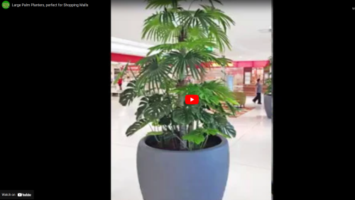 New-generation artificial trees- perfect solution for shopping mall planters- view latest…