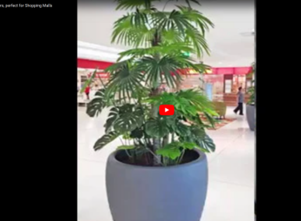 New-generation artificial trees- perfect solution for shopping mall planters- view latest…