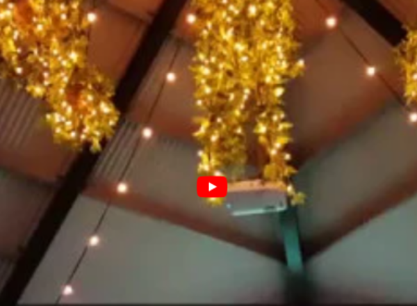 New trend- adding lights to hanging-baskets- cool green by day, spectacular by night