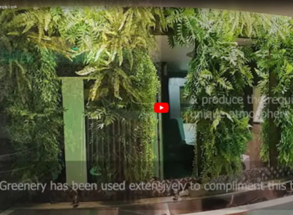 Nightclub goes Jungle-Look