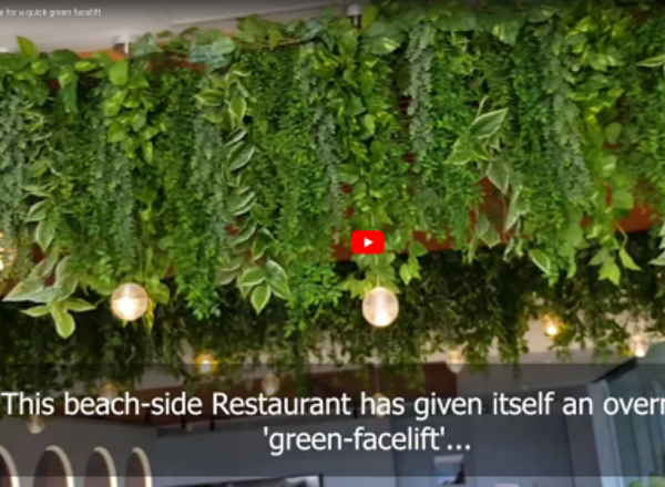 Opening Soon?..time for a quick 'green-facelift'...