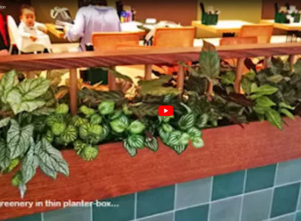 PapaRich Installation