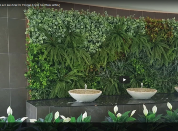 Problems with plants in chlorinated fountain & pool surrounds? Here’s your solution…