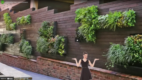 Toowoomba Green Wall Installation