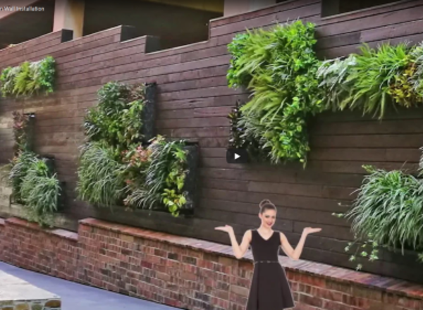Toowoomba Green Wall Installation