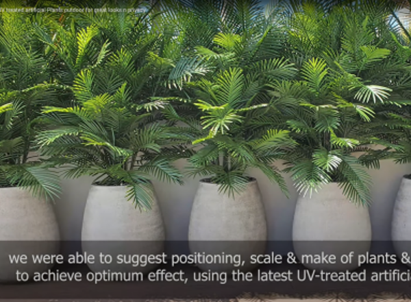 Using the latest UV-treated artificial Plants outdoor for great looks n privacy..