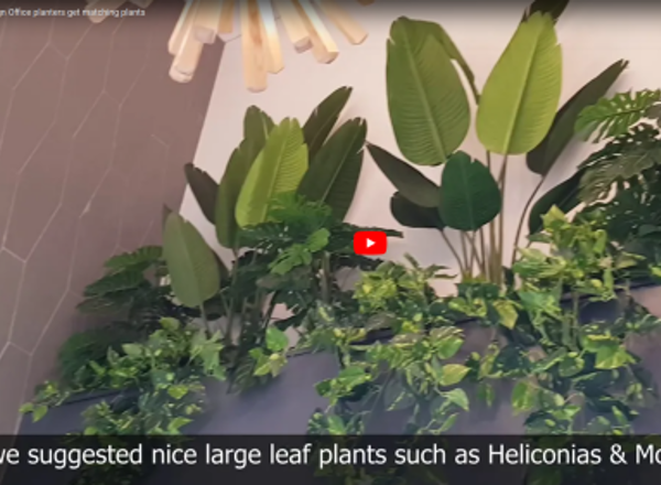 Zupps Retro design Office planters get matching plants