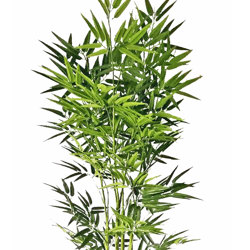 Bamboo UV-treated 1.8m - artificial plants, flowers & trees - image 9