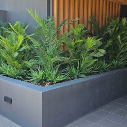 Alexander Palm 2.1m UV-treated  - artificial plants, flowers & trees - image 5