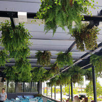 Hanging-Baskets transform new Tavern balcony from drab to cool green... poplet image 7