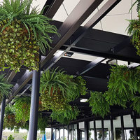 Hanging-Baskets transform new Tavern balcony from drab to cool green... poplet image 5