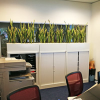 Office Planter revamp poplet image 2