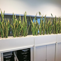 Office Planter revamp poplet image 4