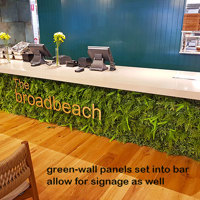Modern Bar refurbishment & 'greenification'! poplet image 4