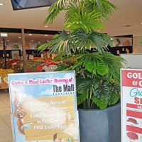 Large Palm Planters, perfect for Shopping Malls... poplet image 3