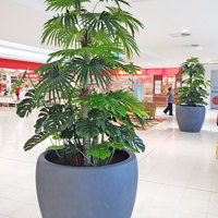 Large Palm Planters, perfect for Shopping Malls... poplet image 4