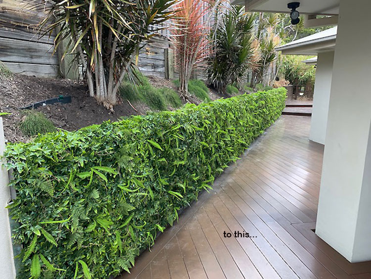 Ivy/Fern panels on block wall