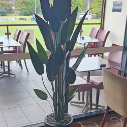 Artificial Bird of Paradise Plant 1.4m - artificial plants, flowers & trees - image 5
