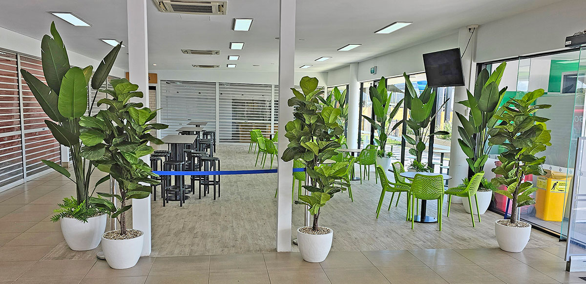 soft greens in white pots, this fresh-look suits eatery