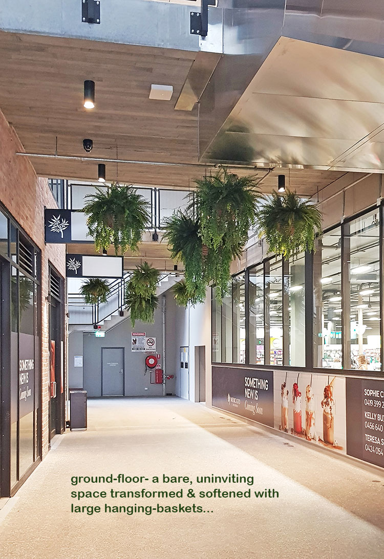 hanging-baskets add life to bare areas