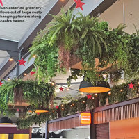 New Shopping Precinct's effective use of overhead Greenery... poplet image 4