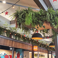 New Shopping Precinct's effective use of overhead Greenery... poplet image 3