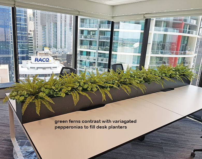 Matching Greenery for work-station planters... image 2