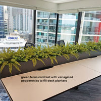Matching Greenery for work-station planters... poplet image 1