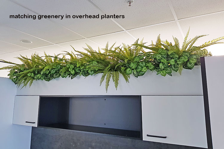 Matching Greenery for work-station planters... image 5