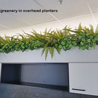 Matching Greenery for work-station planters... poplet image 4