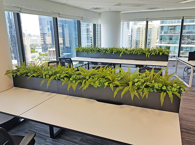 Matching Greenery for work-station planters... image 6