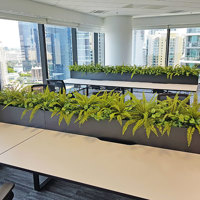 Matching Greenery for work-station planters... poplet image 5