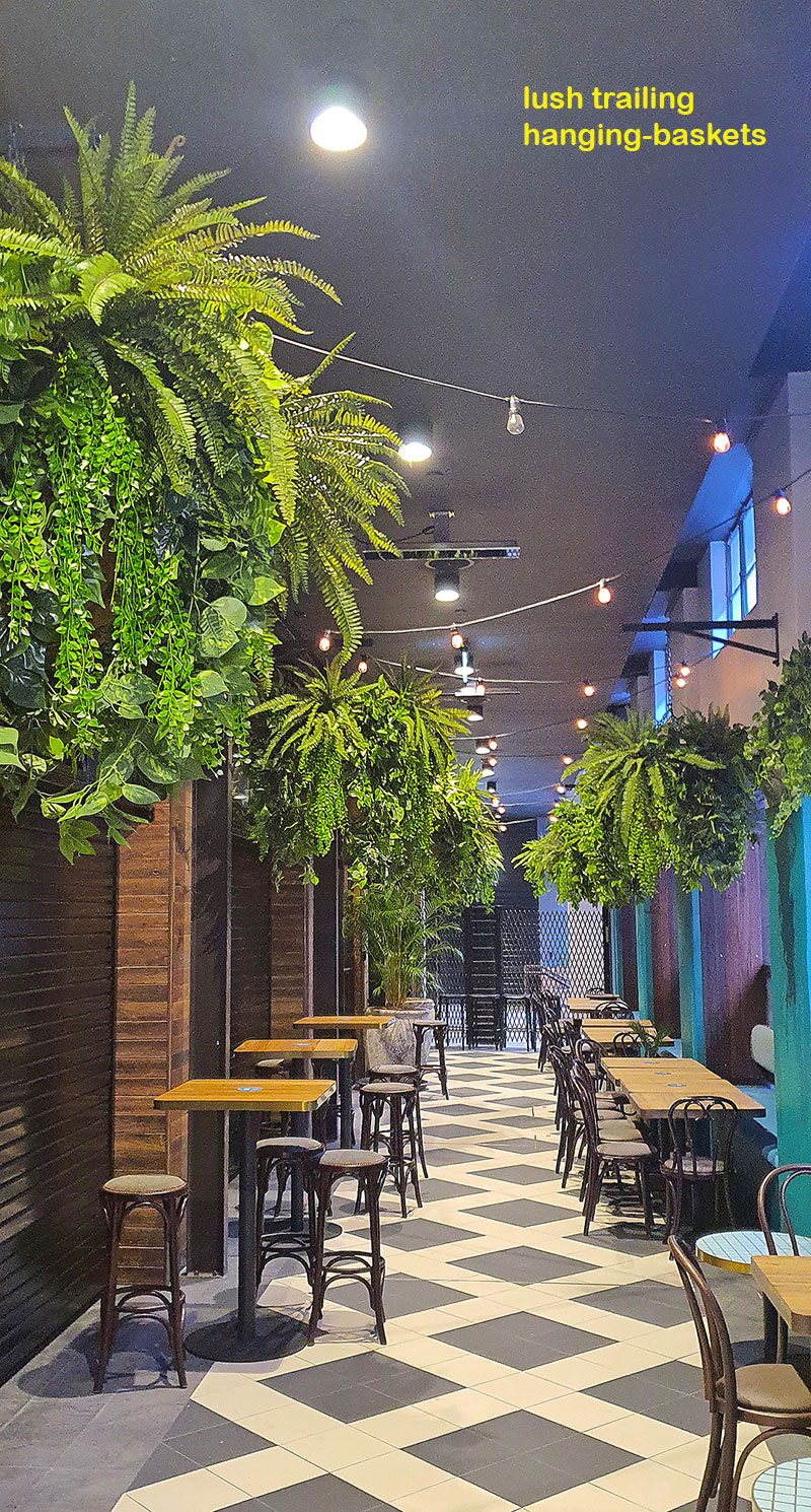 greening up dining area