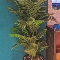 New Cuban Nite-Club also has a green theme... poplet image 8