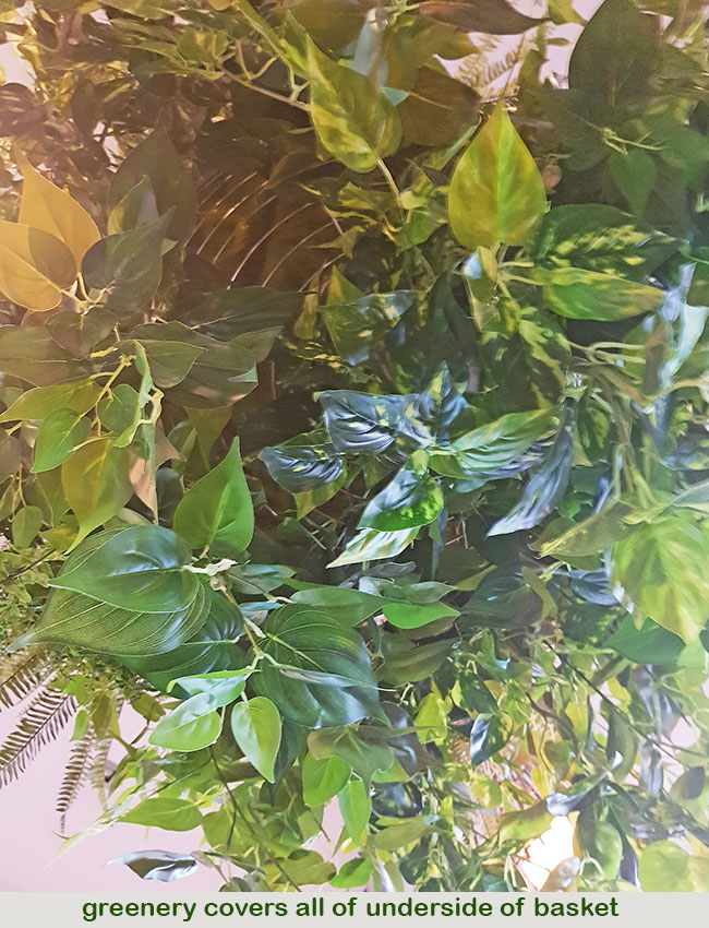 Huge Hanging-Baskets add cosy green feel to Hotel Eatery... image 8