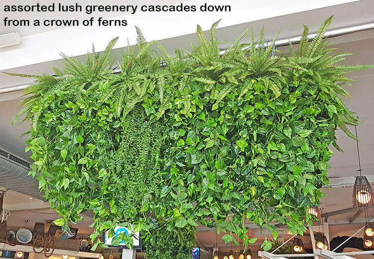 Huge Hanging-Baskets add cosy green feel to Hotel Eatery... image 6