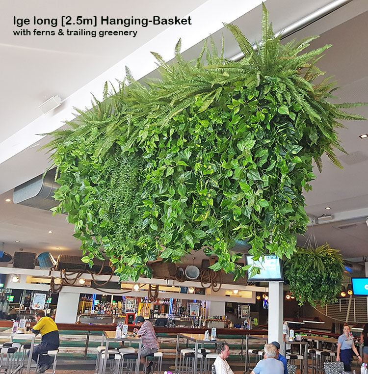 Huge Hanging-Baskets add cosy green feel to Hotel Eatery... image 2