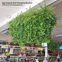 Huge Hanging-Baskets add cosy green feel to Hotel Eatery... poplet image 1