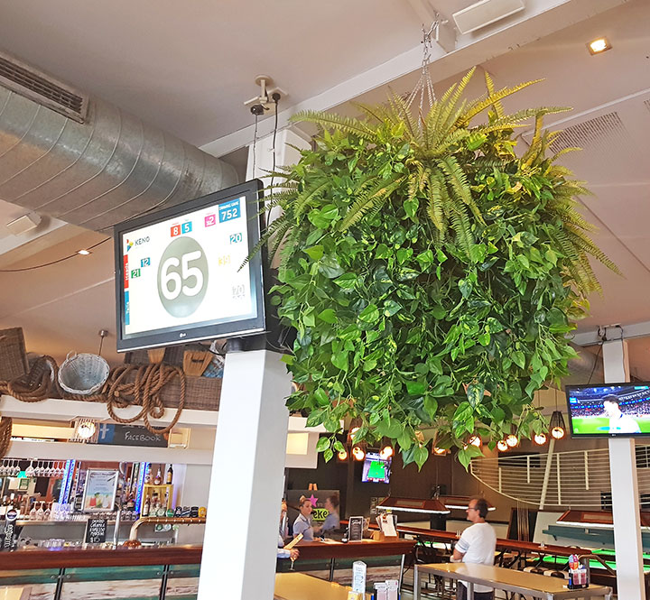 Huge Hanging-Baskets add cosy green feel to Hotel Eatery... image 7
