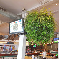 Huge Hanging-Baskets add cosy green feel to Hotel Eatery... poplet image 6