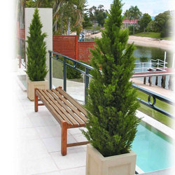 Cypress Pine UV 1.5m  - artificial plants, flowers & trees - image 2