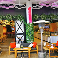 Artificial Greenery for VISUAL IMPACT in restaurant poplet image 1